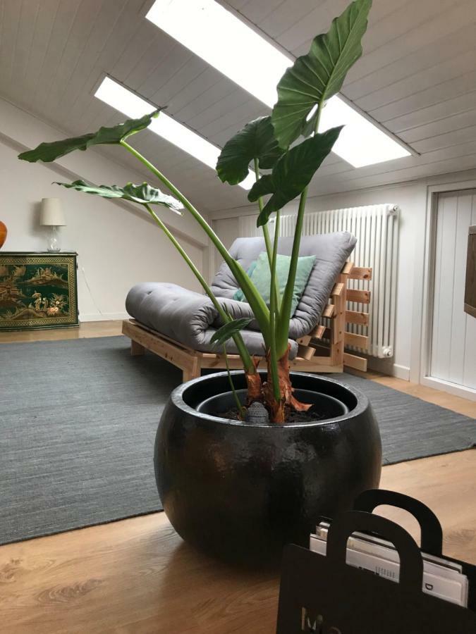 Little Lio Apartment Cavallino-Treporti Eksteriør bilde